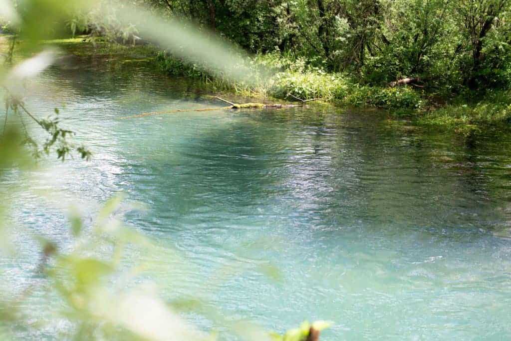 bosnia_rib_2880_02