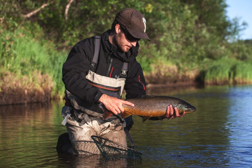 husbyggende vårfluelarve Andreas Lium