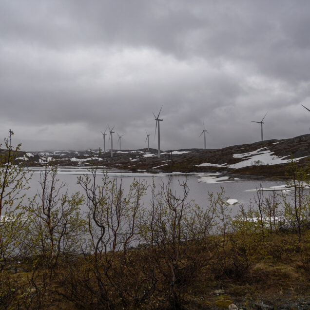 Naturlig ukestart naturtap