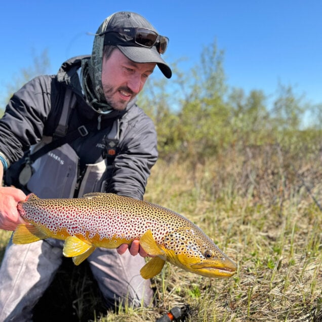 under overflaten Stian Midtdal