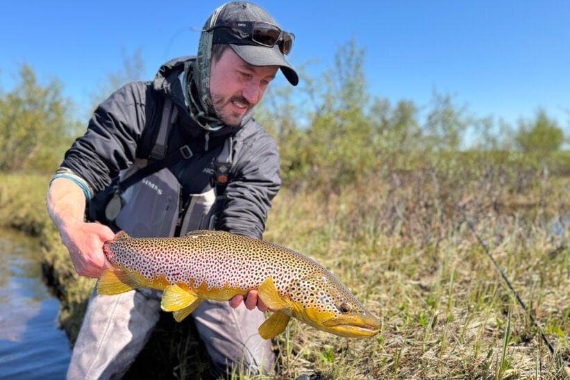 under overflaten Stian Midtdal