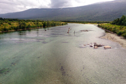 den første dagen Jørn Bremtun