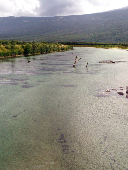 den første dagen Jørn Bremtun