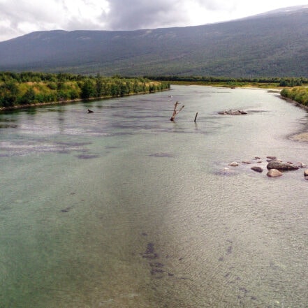 den første dagen Jørn Bremtun