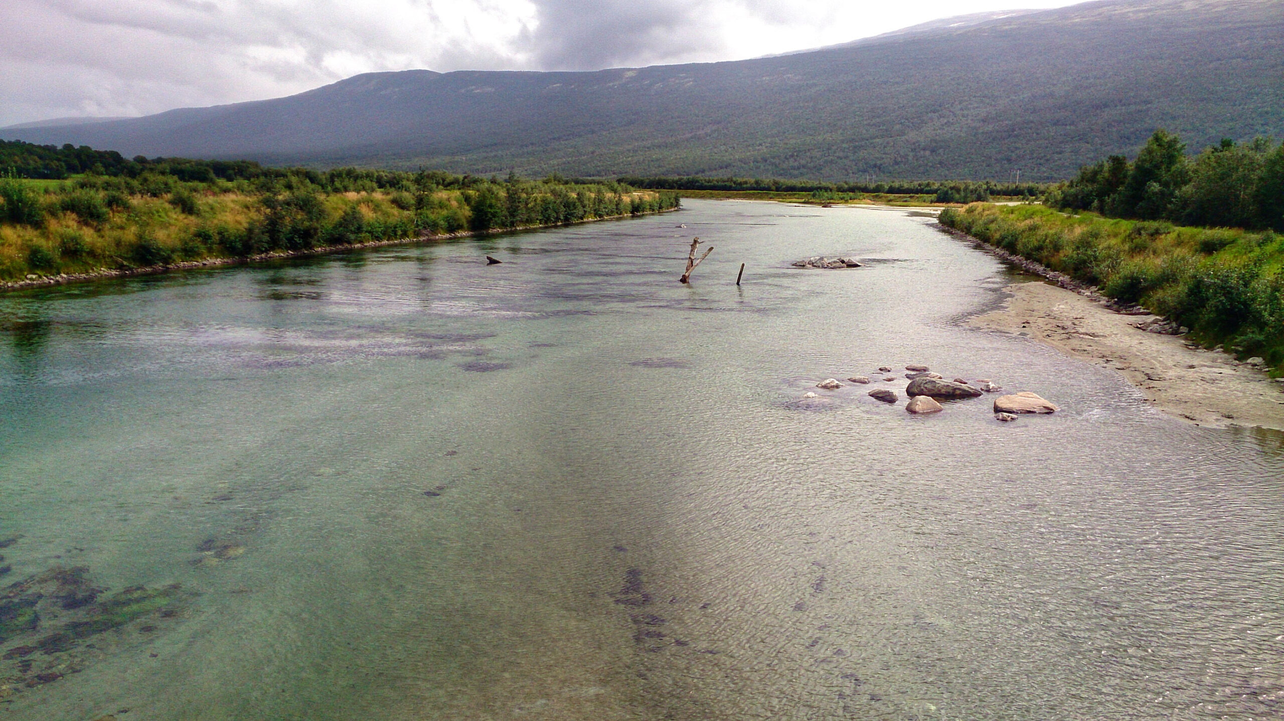 den første dagen Jørn Bremtun