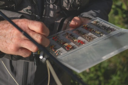 fluer under overflaten