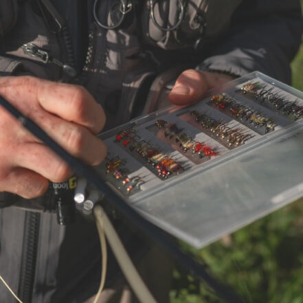 fluer under overflaten