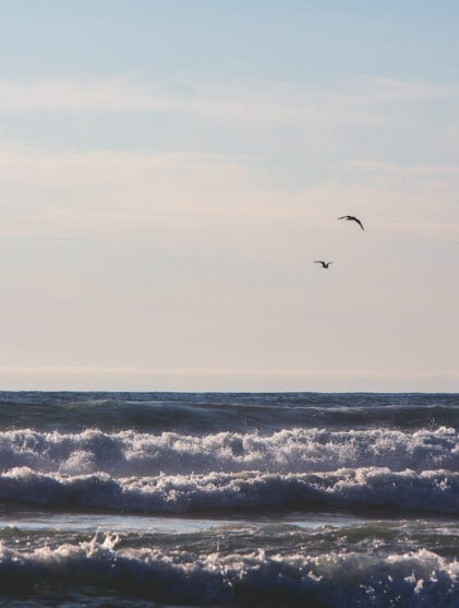 Oppdrettskjeltringer kraftkonflikt og en liten lakseseier i Mandalselva
