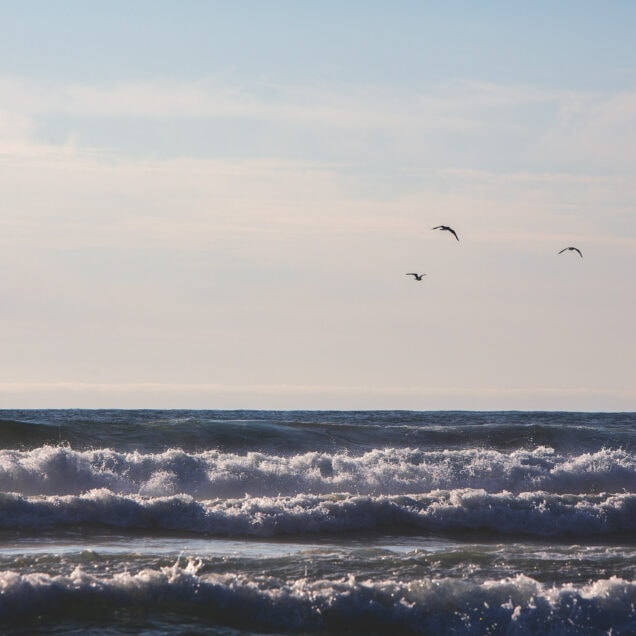 Oppdrettskjeltringer kraftkonflikt og en liten lakseseier i Mandalselva
