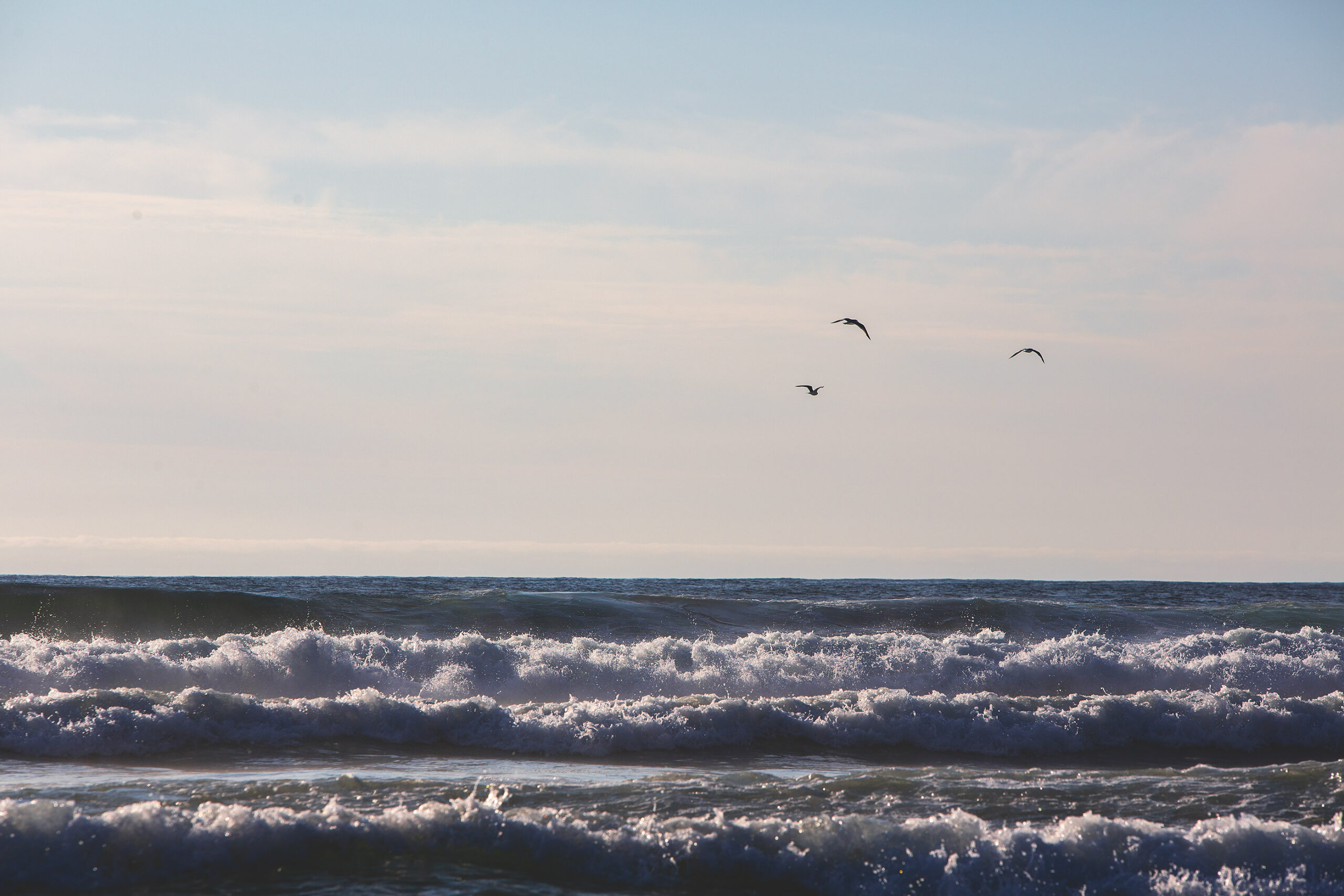 Oppdrettskjeltringer kraftkonflikt og en liten lakseseier i Mandalselva