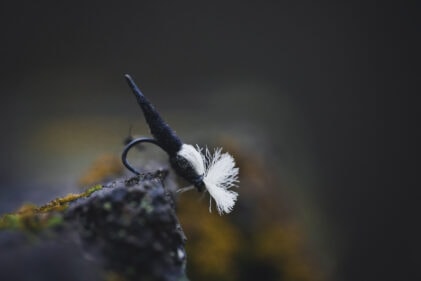 Kvinner som stirrer på fjærmygg