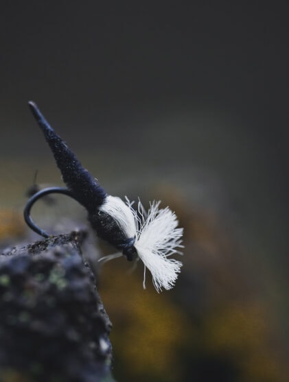 Kvinner som stirrer på fjærmygg