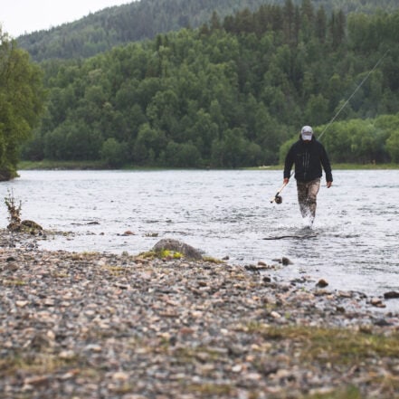 Naturlig ukestart Målselva