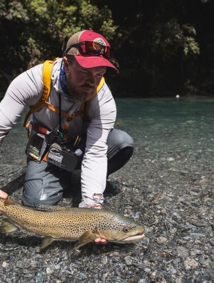 Naturlig ukestart New Zealand