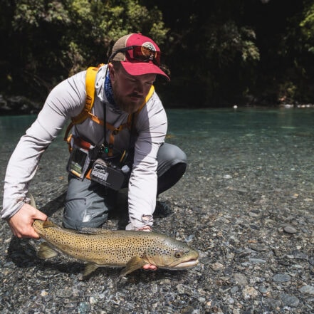 Naturlig ukestart New Zealand