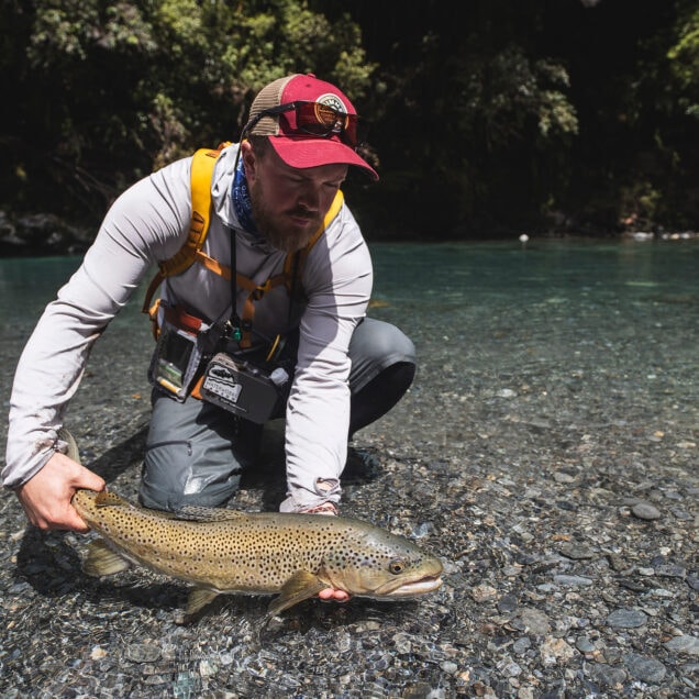 Naturlig ukestart New Zealand