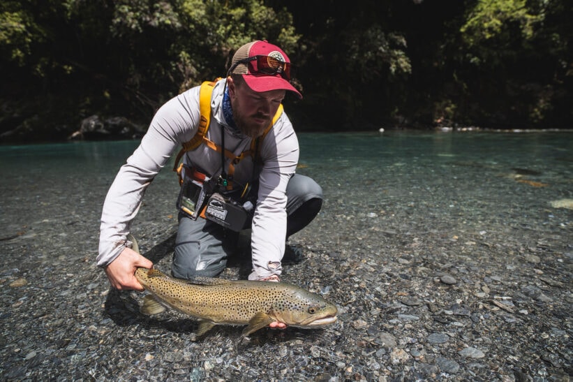 Naturlig ukestart New Zealand