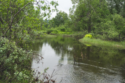 den lille bekken trenger deg under overflaten