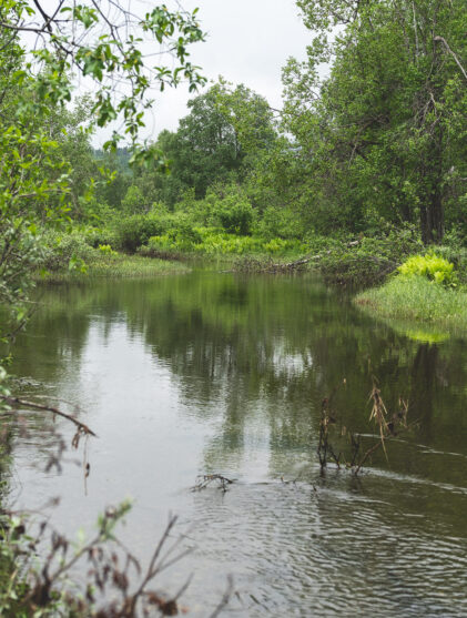 den lille bekken trenger deg under overflaten