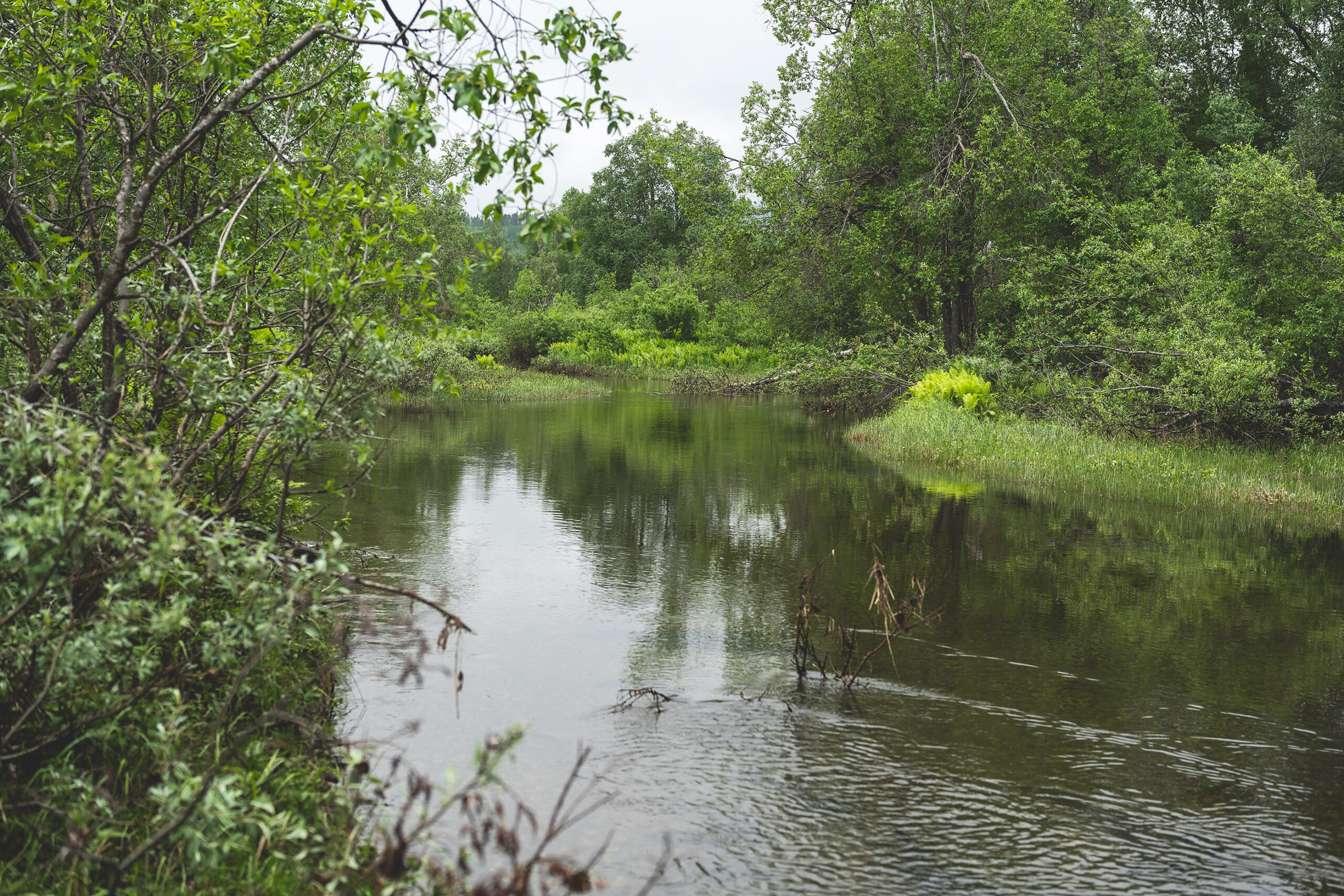 den lille bekken trenger deg under overflaten