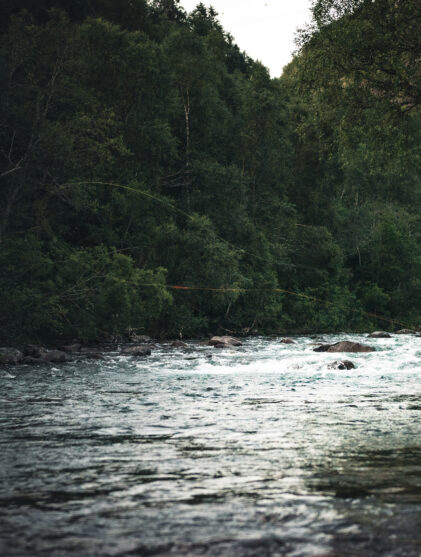 Folk: Torgeir Nordkild