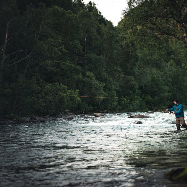 Folk: Torgeir Nordkild