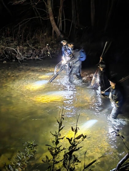 Naturlig ukestart Øyvind Solem NINA