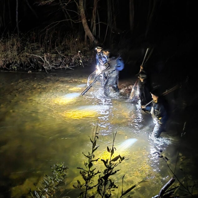 Naturlig ukestart Øyvind Solem NINA