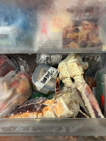 Hvordan stagge fiskesuget gjennom vinteren Ivar Nikolaisen