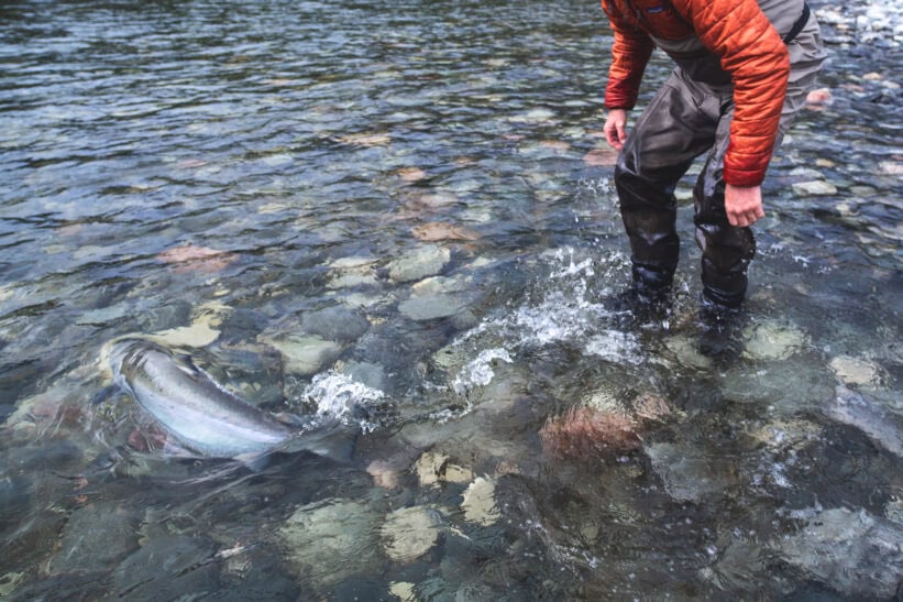 Under overflaten fang og slipp C&R