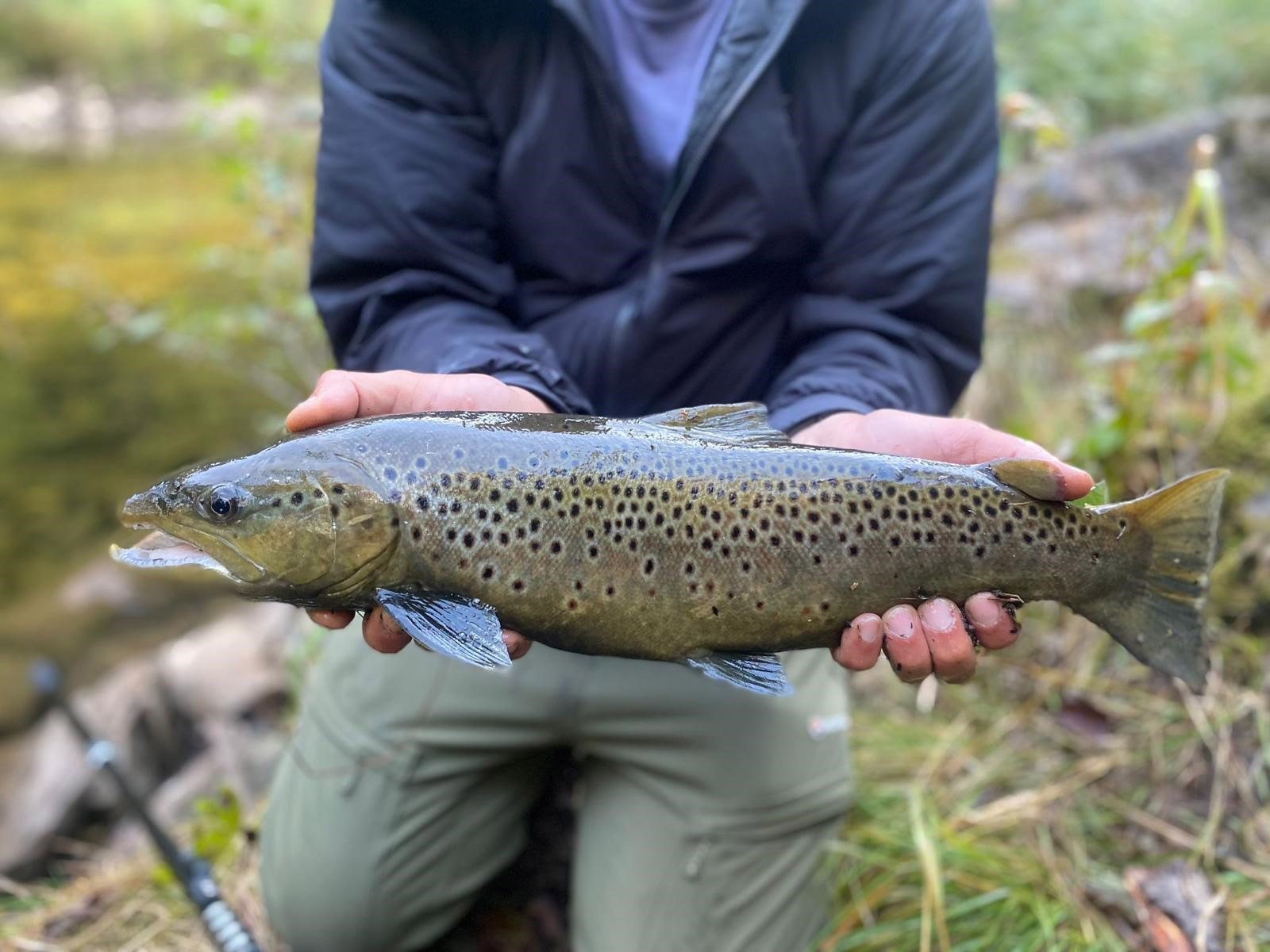 Plahtes Eiendommer Kalbekkvika