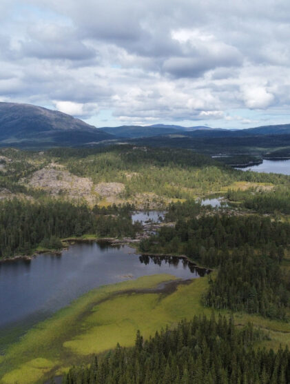 Plahtes Eiendommer Kalbekkvika