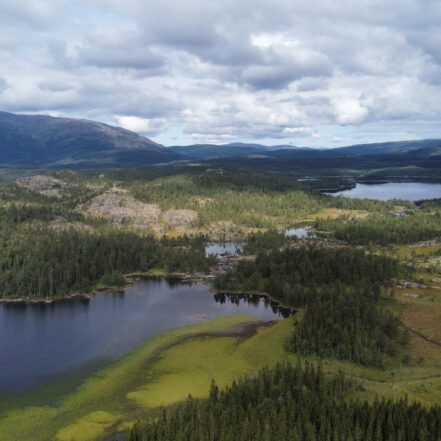 Plahtes Eiendommer Kalbekkvika