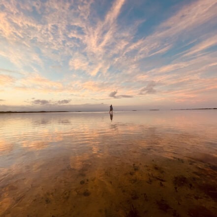 Donald Trump, Bob Dylan, Lars Lenth og jeg