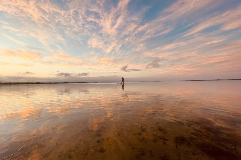 Donald Trump, Bob Dylan, Lars Lenth og jeg