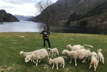 Skriftemål fra Rogaland