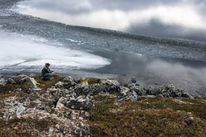 Snart kan mobilen gi beskjed før røya går bananas i fjellvannet ditt