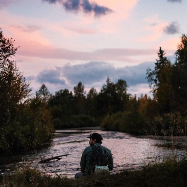 Tre minutter som gir deg en påfallende lyst til bare å pakke bilen
